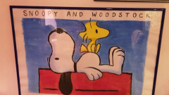 Snoopy and Woodstock 10 7.5.