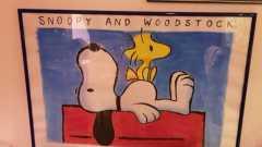 Snoopy and Woodstock 6 7.5.