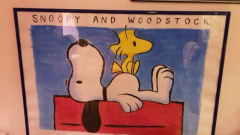 Snoopy and Woodstock 8 7.5.